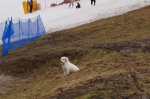 DSC04912.jpg