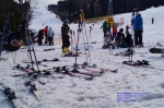 DSC04995.jpg