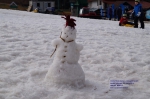 DSC05065.jpg