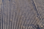 DSC05098.jpg