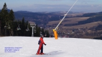 DSC04638.jpg