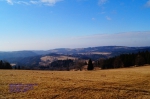 DSC04672.jpg