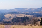 DSC04673.jpg