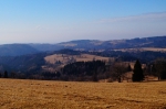DSC04674.jpg
