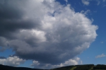 DSC03220.jpg