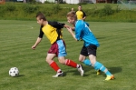 DSC03255.jpg