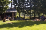 DSC04283.jpg