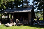 DSC04290.jpg