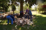 DSC04373.jpg