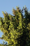 DSC04543.jpg