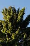 DSC04544.jpg
