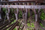 DSC04567.jpg