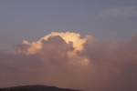 DSC07950.jpg