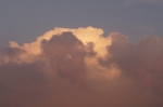 DSC07953.jpg