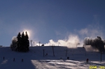 DSC07921.jpg