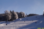 DSC07923.jpg