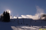 DSC07924.jpg