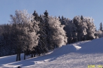 DSC07931.jpg