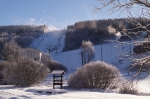 DSC07985.jpg