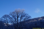 DSC08055.jpg