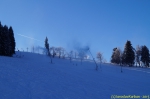 DSC08058.jpg