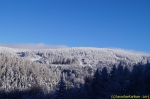 DSC08064.jpg