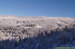 DSC08068.jpg