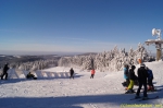 DSC08139.jpg
