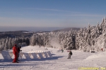 DSC08149.jpg
