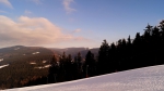 DSC00196.jpg