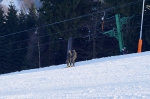 DSC00283.jpg