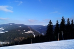 DSC00309.jpg