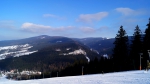 DSC00342.jpg