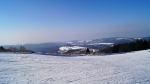 DSC00372.jpg