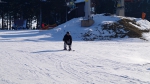 DSC00375.jpg