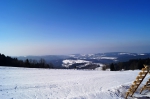 DSC00416.jpg