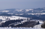 DSC00418.jpg