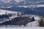 DSC00423.jpg